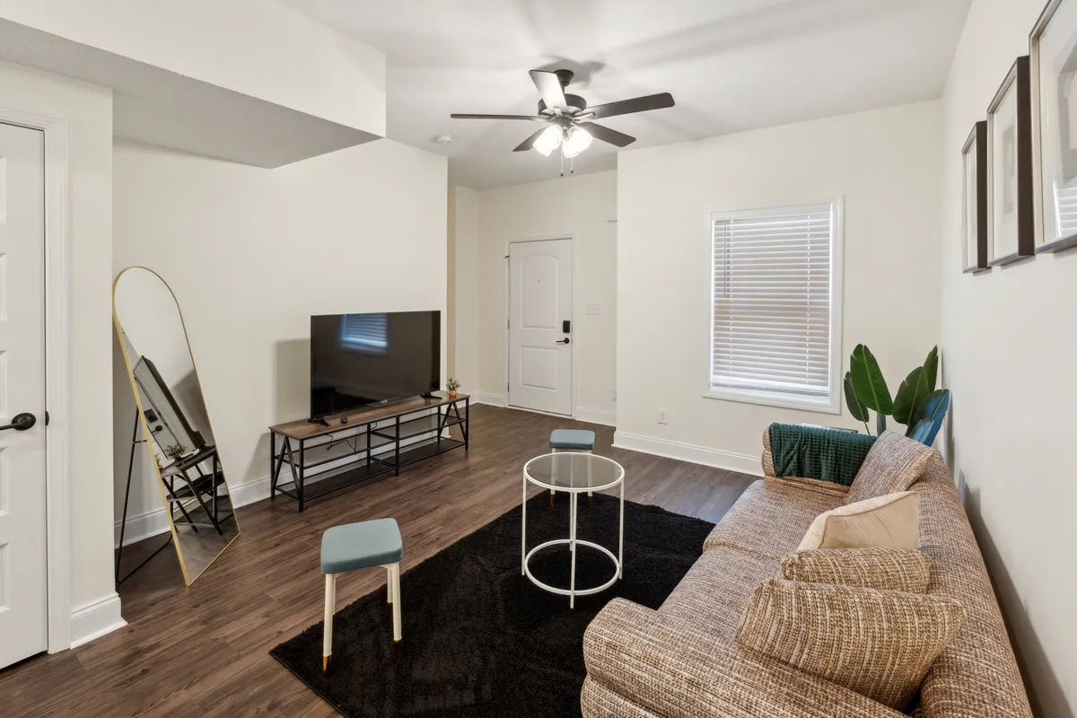 This image features a comfortable, welcoming living room with a plush sofa, a coffee table, a television, a mirror, and a touch of greenery from a plant. The scene is well-lit with natural light, and the arrangement supports both relaxation and social gatherings.